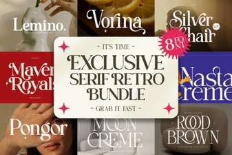 Retro Serif Font Bundle for Creative Projects